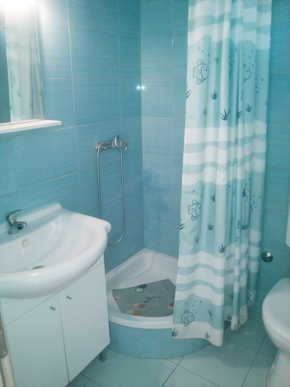 Apartments Blazenka - one of it's six bathrooms