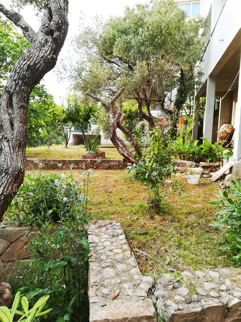 Apartments Blazenka garden